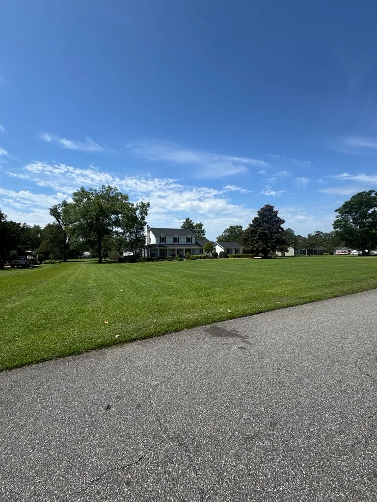 Freshly mowed lawn with crisp mowing stripes in front of a white two-story farmhouse in Tallahassee