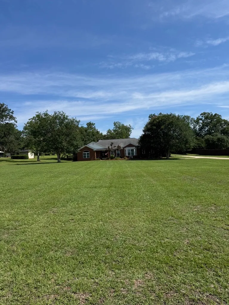 Wide, freshly cut front lawn of a brick ranch home under a blue Tallahassee sky
