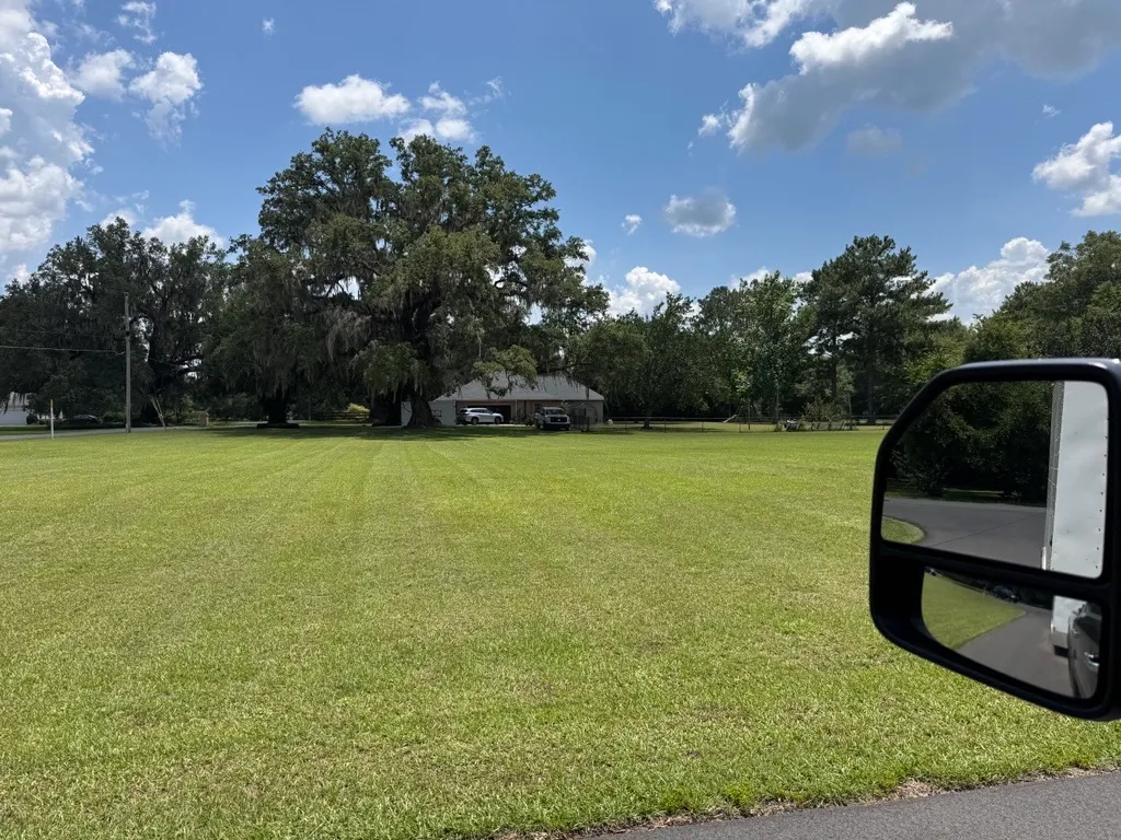 View from the Mr. MowItAll truck across a wide freshly cut lawn shaded by a live oak draped in Spanish moss