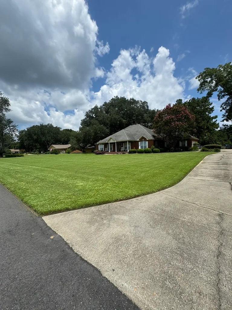Clean-edged front lawn following the curve of a driveway at a brick home in Tallahassee