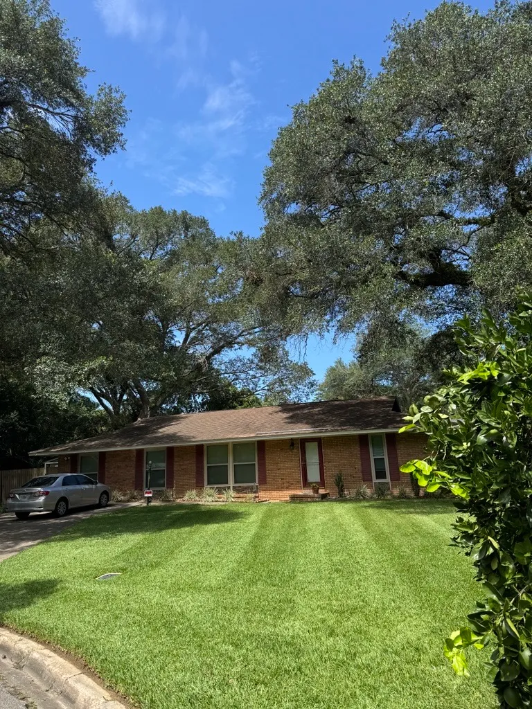 Freshly mowed lawn with soft mowing stripes in front of a red brick ranch home under old oaks
