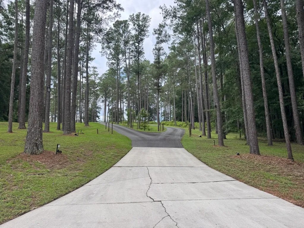 Long driveway cut through a stand of tall pines with freshly mowed grass on both sides